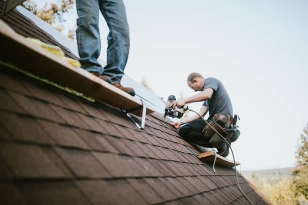 Best Roof Gutter Cleaning  in Clifton, IL